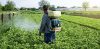 No, farmers who use agricultural chemicals do not have higher cancer rates